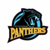 Stahls Kitchener Panther Helmet Sticker