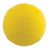Champion 9" Lite Flite Ball