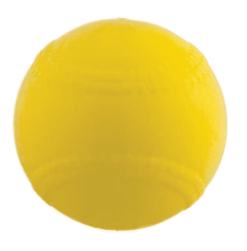 Champion 9" Lite Flite Ball