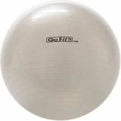 Go Fit Stability Ball