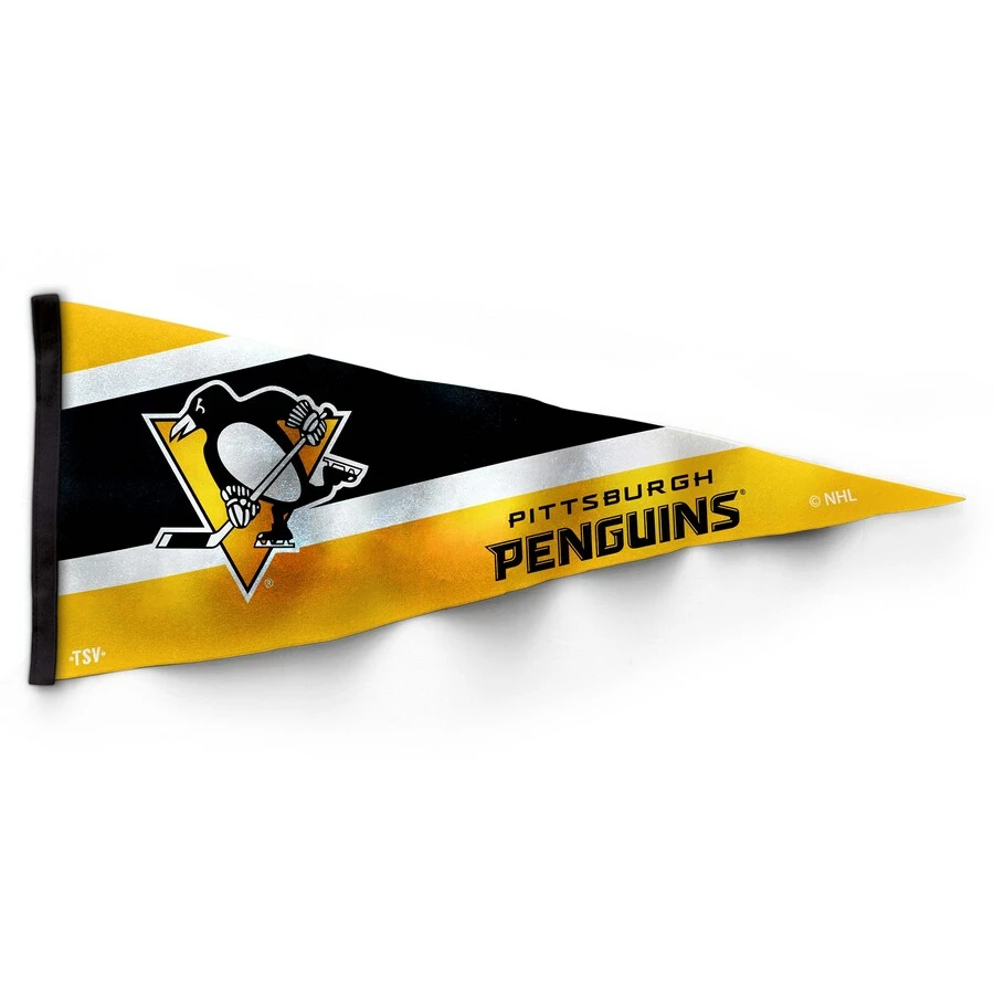 Hockey TSV NHL Pennant