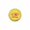Sportco Source For Sports Sidelines Weighted 0 Distance Training Ball