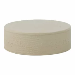 Viceroy Goalie Training Puck