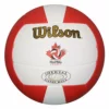 Wilson CVA Gold Official Outdoor Volleyball