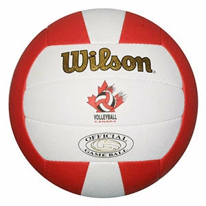 Wilson CVA Gold Official Outdoor Volleyball