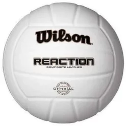 Wilson Reaction 4900 Volleyball