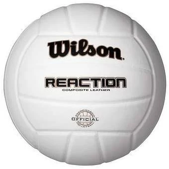 Wilson Reaction 4900 Volleyball