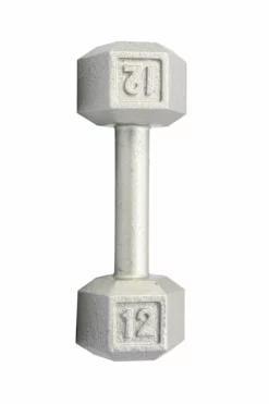 York 12 Lb Hex Dumbells Exercise