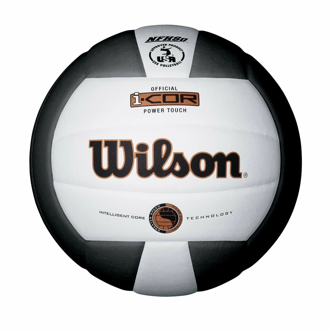 Wilson Icore Volleyball