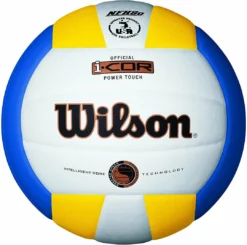 Wilson Icore Volleyball