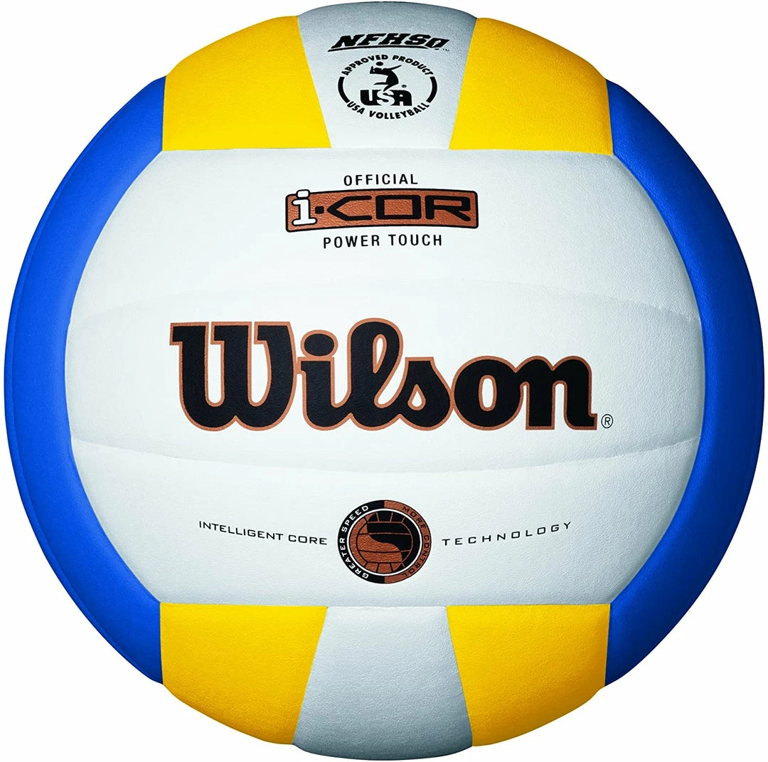 Wilson Icore Volleyball