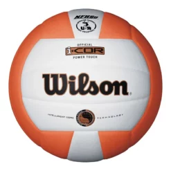 Wilson Icore Volleyball