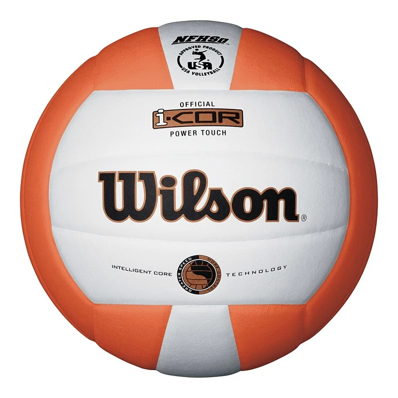 Wilson Icore Volleyball